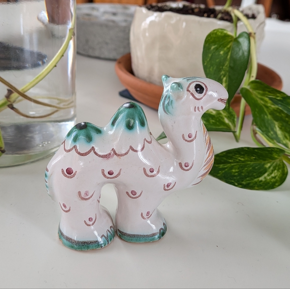 Hjorth Camel